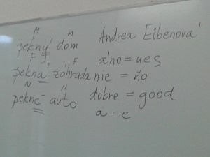 Första lektionen i Slovakiska