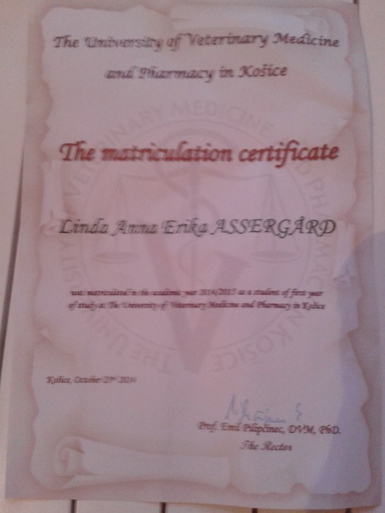 Mitt matriculation certificate