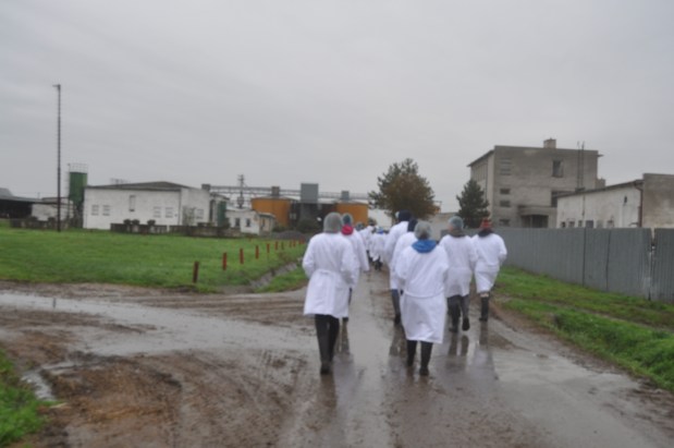 Studiebesök hos kossor