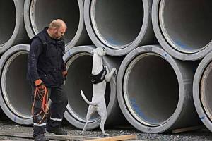 10653768_10152422616036440_5222762356976776905_n