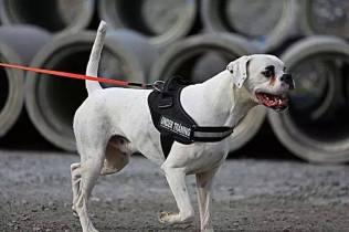 10734080_10152422616011440_2089531912071835730_n