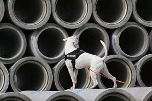 522043_10152422615961440_2890055866101963309_n