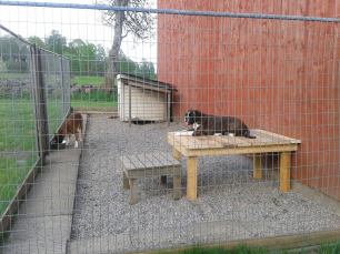 979895_10151424831411440_767872236_o