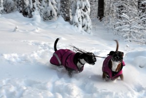 Doris_Raffa_Skelingen