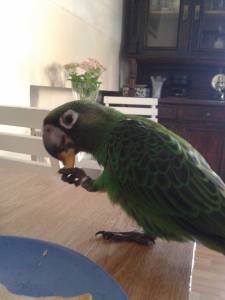 12067416_10153110074321440_643949652_n