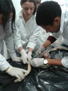 12071713_10153110073801440_1243332064_n