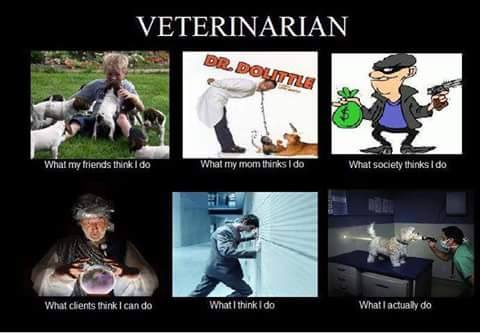 12077482_10153110074871440_791181241_n