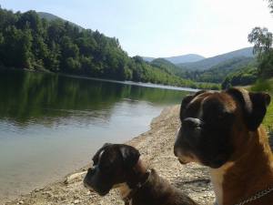 12080967_10153110074931440_1456900252_n