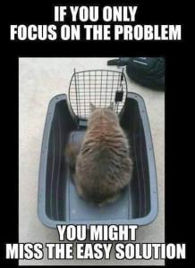 12084234_10153110074841440_547845866_n