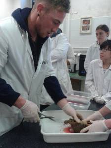 12092747_10153110073911440_1035850525_n