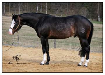 12920481_10153446139121440_3838914009128509988_n-1