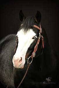 12967960_10153446139016440_7142457182310568259_o-1