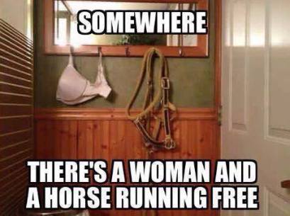 14639708_1237530529642146_2589042385548076421_n