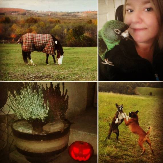 14876656_10153907506636440_2881599349552257079_o