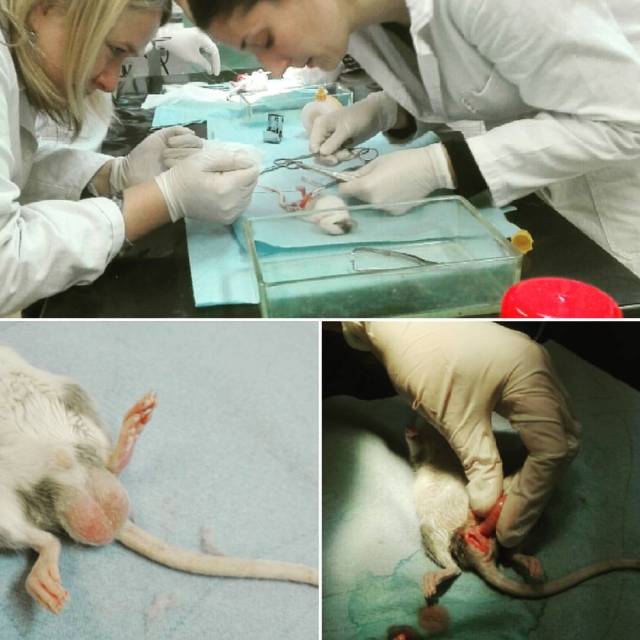 14917210_10153918035081440_2394542767459928818_o