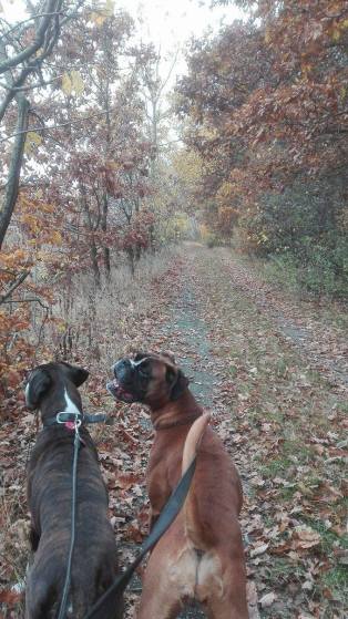 14924091_10153918421446440_1096676041_o