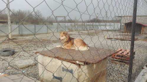 15007568_10153938998456440_111581095_o