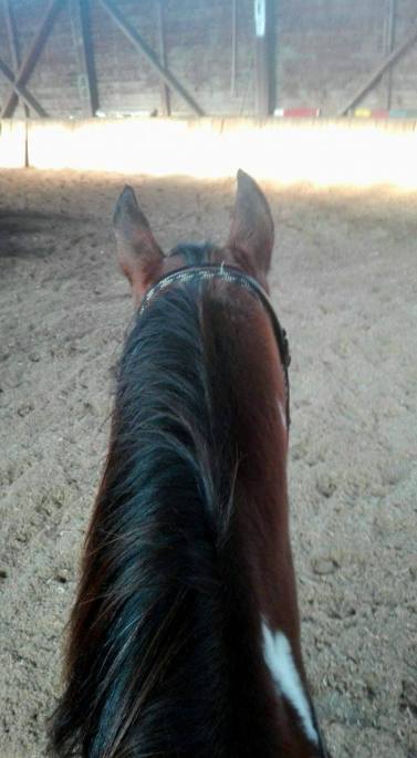 15044792_10153938989921440_1967596971_o