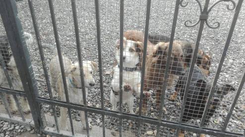 15044793_10153938998236440_908989052_o