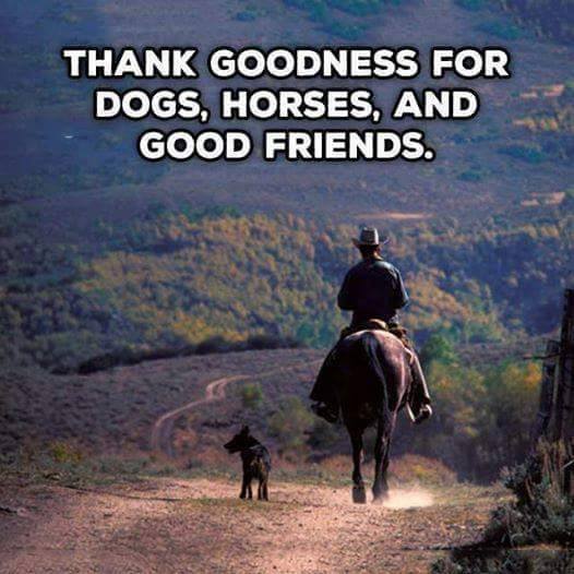 15209184_10153978270941440_1472624869_n